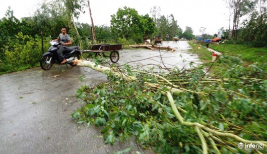 Tháng 8, Việt Nam phải hứng chịu bao nhiêu cơn bão?