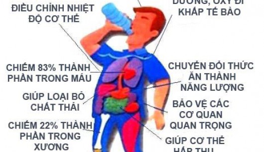 Những đồ uống nào cung cấp đủ lượng nước cho cơ thể