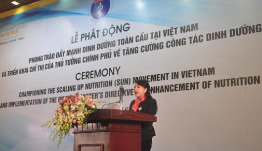 Lễ Phát động phong trào đẩy mạnh dinh dưỡng toàn cầu tại Việt Nam