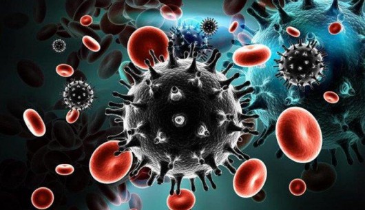 Phát hiện ra loại kháng thể mới có thể tiêu diệt 99% các chủng HIV