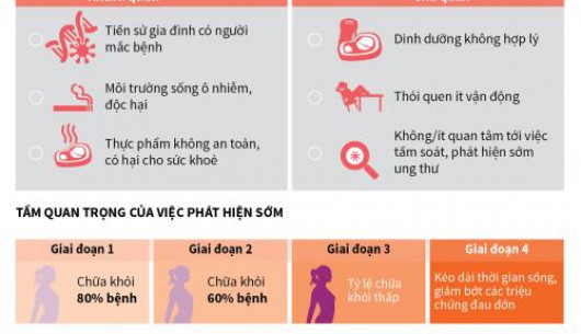 Việt Nam: Phụ nữ mắc ung thư vú ngày càng tăng và trẻ hóa