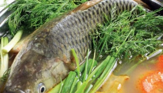 Giá trị dinh dưỡng của cá trắm và nguy cơ tử vong do nhuốt mật 
