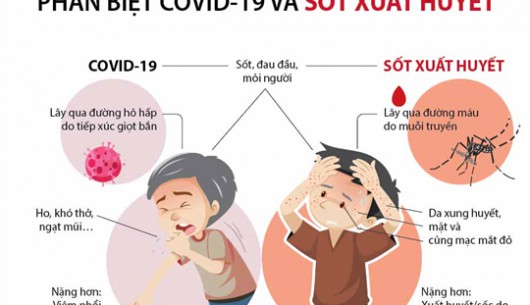 Dấu hiệu nhận biết sốt xuất huyết và Covid-19