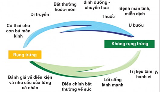 Kinh nguyệt đều chưa chắc có rụng trứng