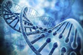 Di truyền gen được xem là một trong những nguyên nhân dẫn đến căn bệnh basedow